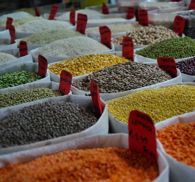 baharçı